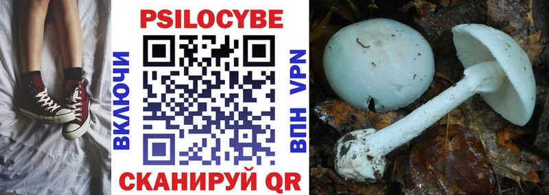 цены наркотик  Домодедово  Псилоцибиновые грибы Cubensis 