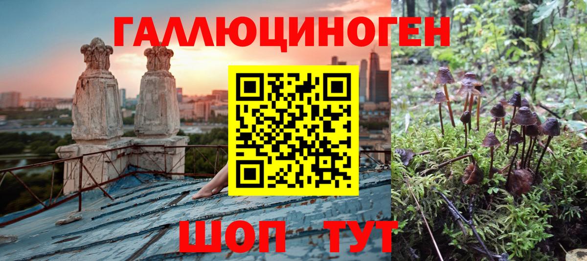 Псилоцибиновые грибы Psilocybine cubensis  Вход с VPN  Домодедово 
