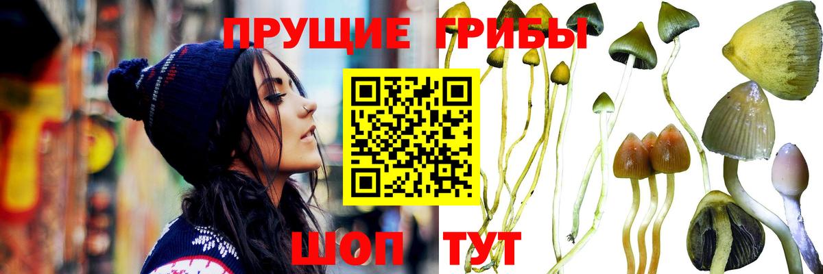 Галлюциногенные грибы GOLDEN TEACHER Домодедово